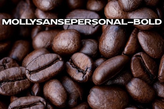 MollySansEPERSONAL-Bold Example 1