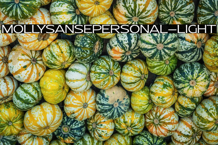 MollySansEPERSONAL-Light Example 1