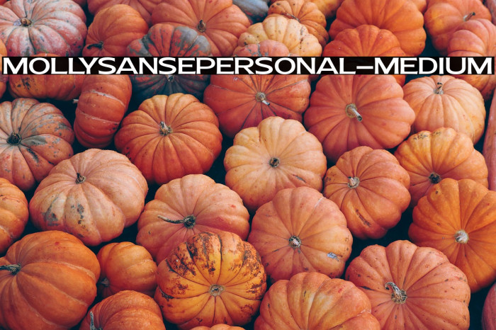 MollySansEPERSONAL-Medium Example 2