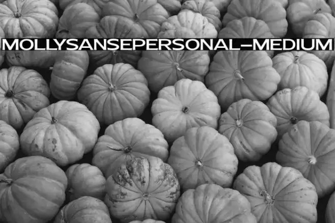 MollySansEPERSONAL-Medium Font examples