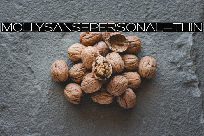 MollySansEPERSONAL-Thin Example 1