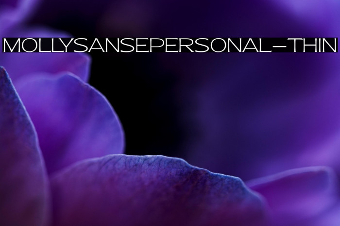 MollySansEPERSONAL-Thin Example 2