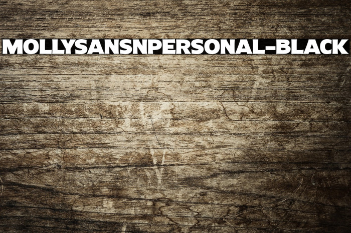 MollySansNPERSONAL-Black Example 1