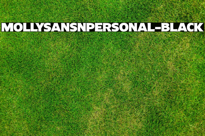MollySansNPERSONAL-Black Example 3