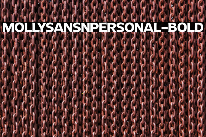 MollySansNPERSONAL-Bold Example 2