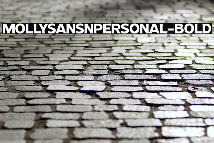 MollySansNPERSONAL-Bold Example 3