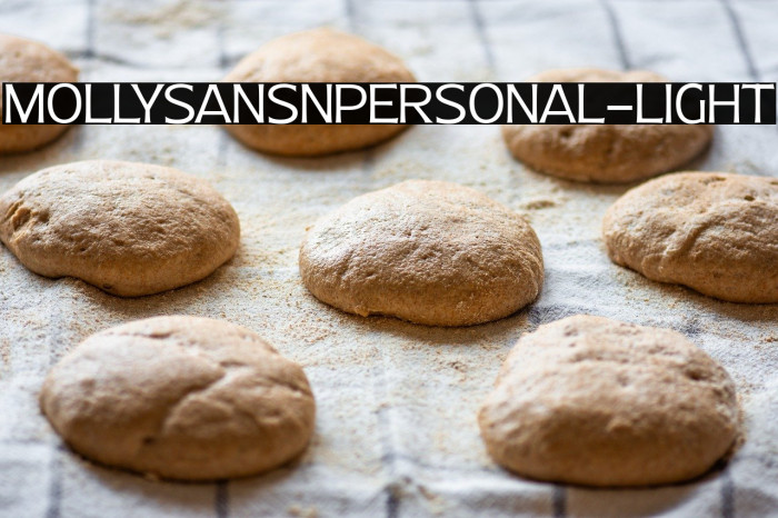 MollySansNPERSONAL-Light Example 1