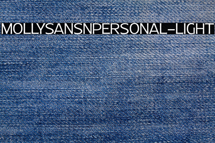 MollySansNPERSONAL-Light Example 2