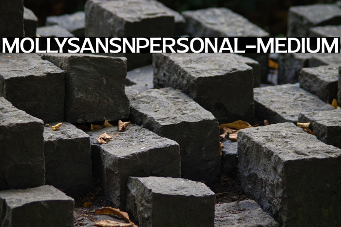 MollySansNPERSONAL-Medium Example 1