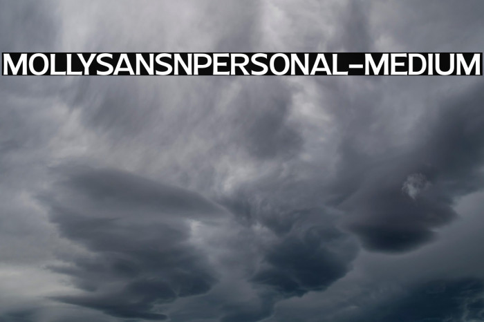 MollySansNPERSONAL-Medium Example 2