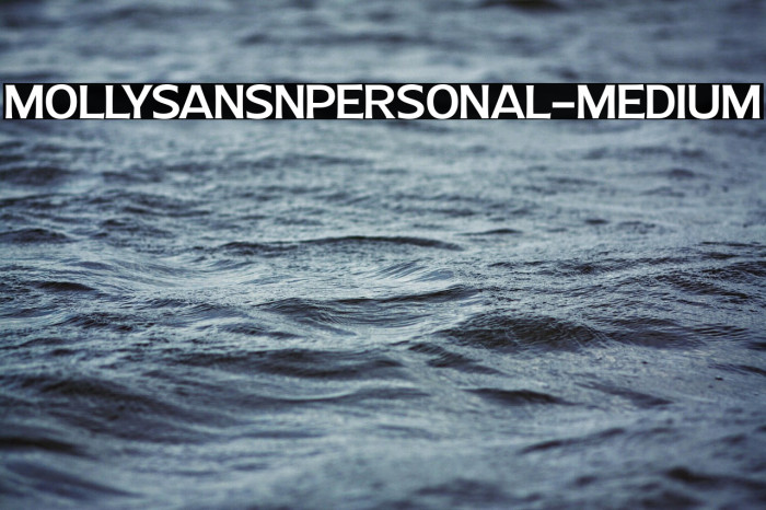 MollySansNPERSONAL-Medium Example 3