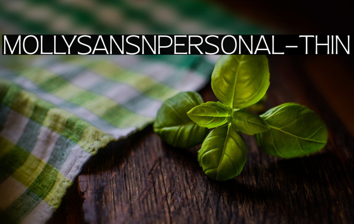 MollySansNPERSONAL-Thin Example 1