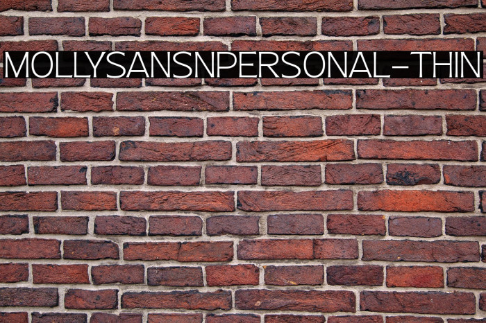 MollySansNPERSONAL-Thin Example 3