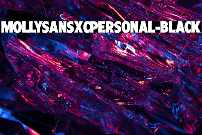 MollySansXCPERSONAL-Black Example 1