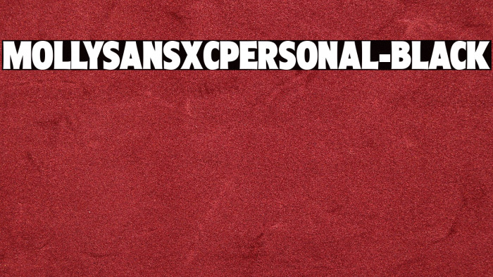 MollySansXCPERSONAL-Black Example 2