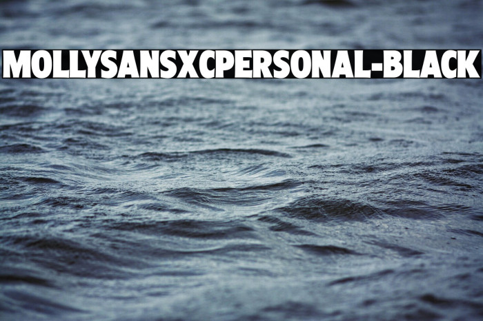 MollySansXCPERSONAL-Black Example 3