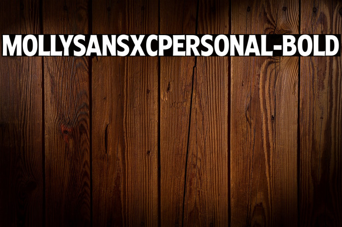 MollySansXCPERSONAL-Bold Example 1