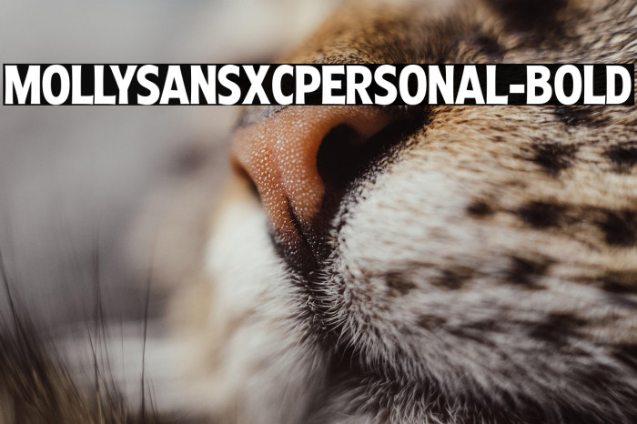 MollySansXCPERSONAL-Bold Example 2
