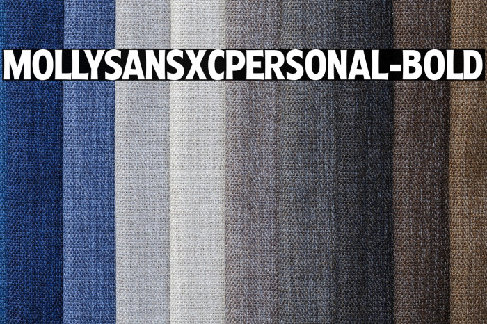 MollySansXCPERSONAL-Bold Example 3