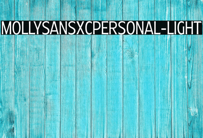 MollySansXCPERSONAL-Light Example 2