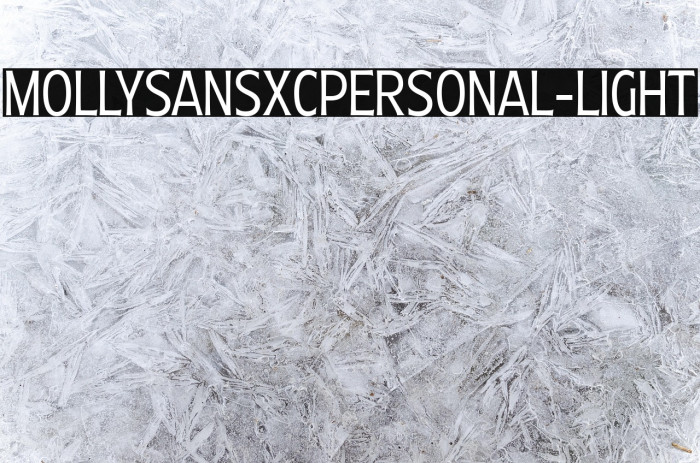 MollySansXCPERSONAL-Light Example 3