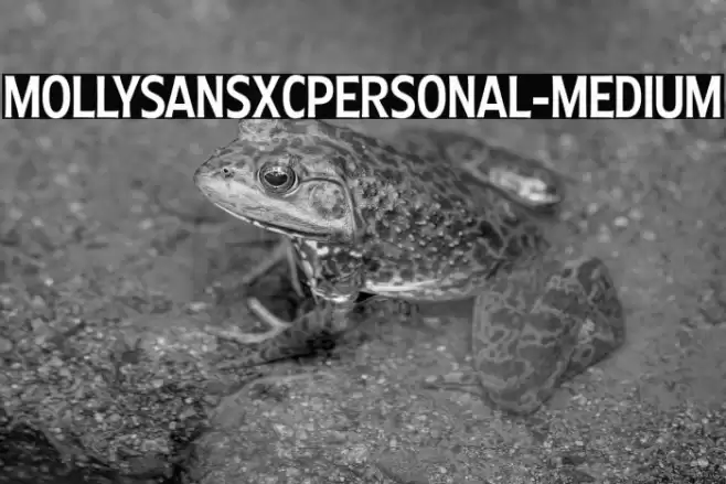 MollySansXCPERSONAL-Medium Font examples