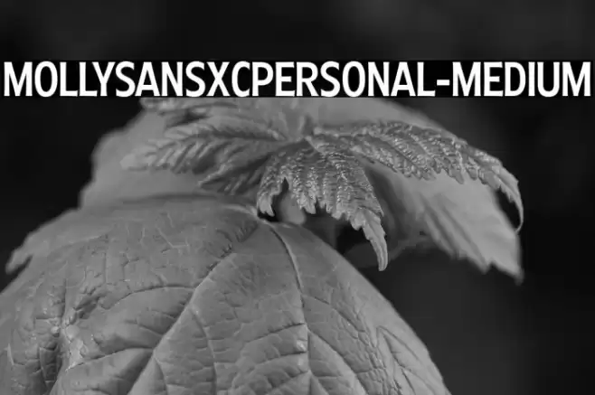 MollySansXCPERSONAL-Medium Font examples