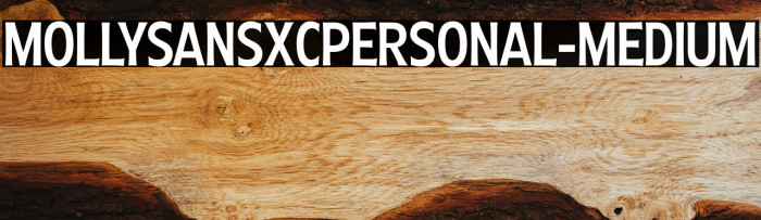 MollySansXCPERSONAL-Medium Example 3