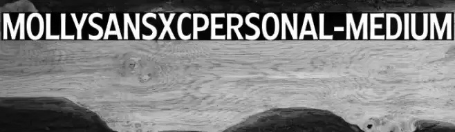 MollySansXCPERSONAL-Medium Font examples