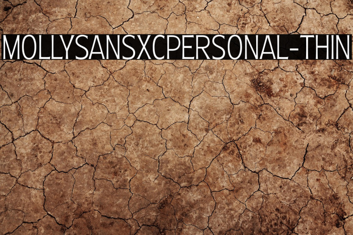 MollySansXCPERSONAL-Thin Example 2