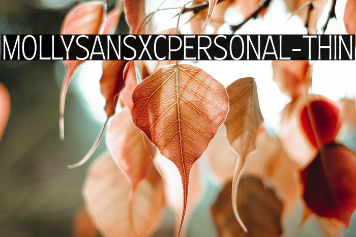 MollySansXCPERSONAL-Thin Example 3