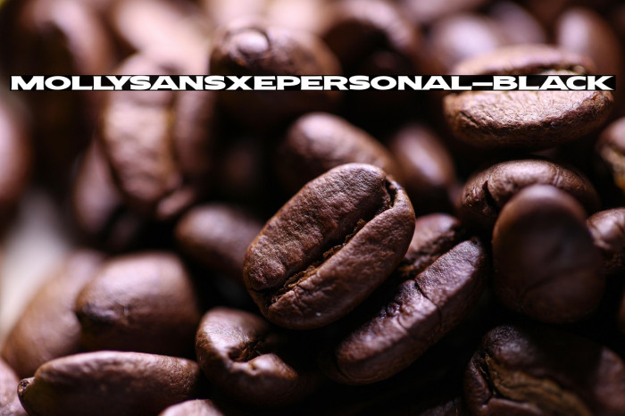 MollySansXEPERSONAL-Black Example 1