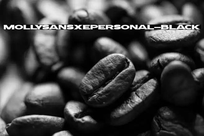 MollySansXEPERSONAL-Black Font examples