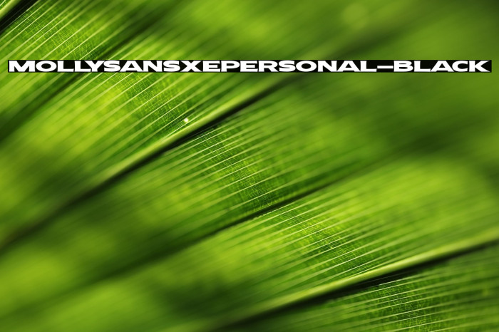 MollySansXEPERSONAL-Black Example 2
