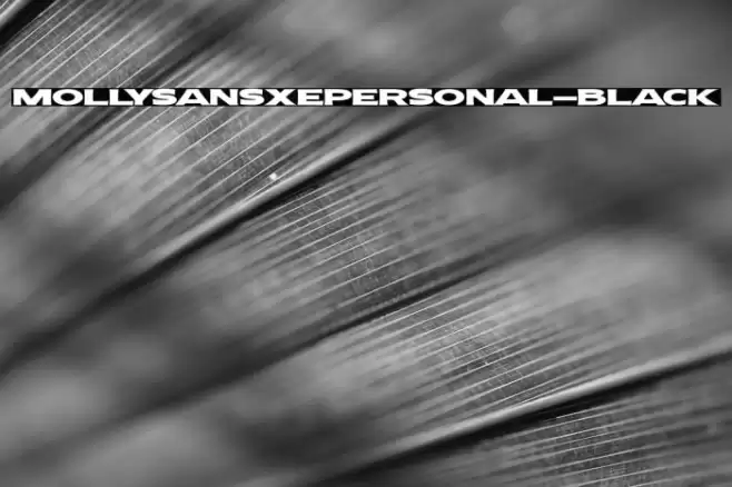 MollySansXEPERSONAL-Black Font examples