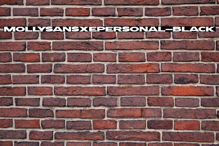 MollySansXEPERSONAL-Black Example 3