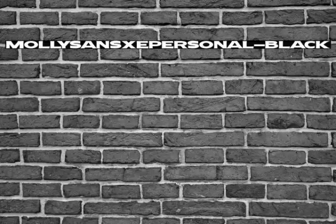MollySansXEPERSONAL-Black Font examples