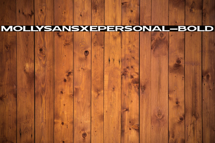 MollySansXEPERSONAL-Bold Example 2