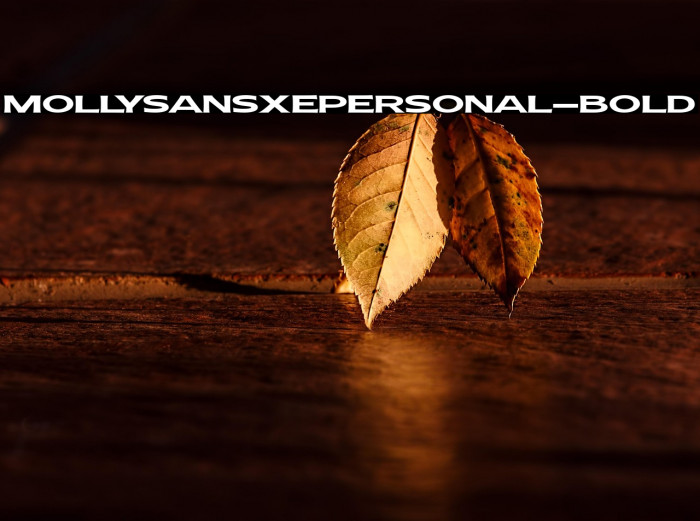 MollySansXEPERSONAL-Bold Example 3