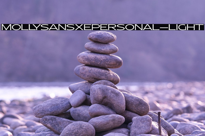 MollySansXEPERSONAL-Light Example 2