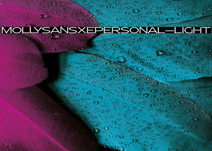 MollySansXEPERSONAL-Light Example 3