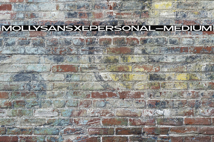 MollySansXEPERSONAL-Medium Example 1