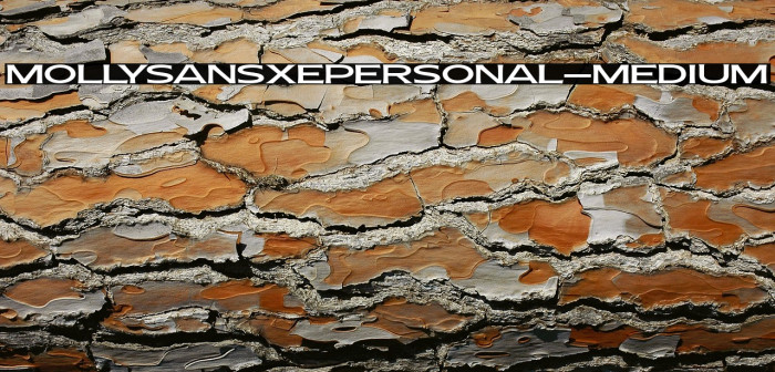 MollySansXEPERSONAL-Medium Example 3