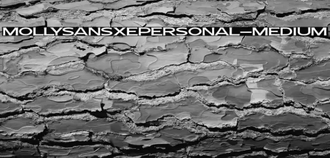 MollySansXEPERSONAL-Medium Font examples