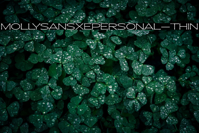 MollySansXEPERSONAL-Thin Example 3