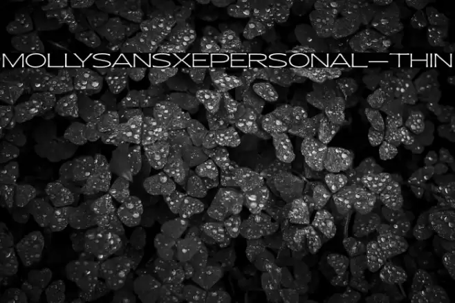 MollySansXEPERSONAL-Thin Font examples