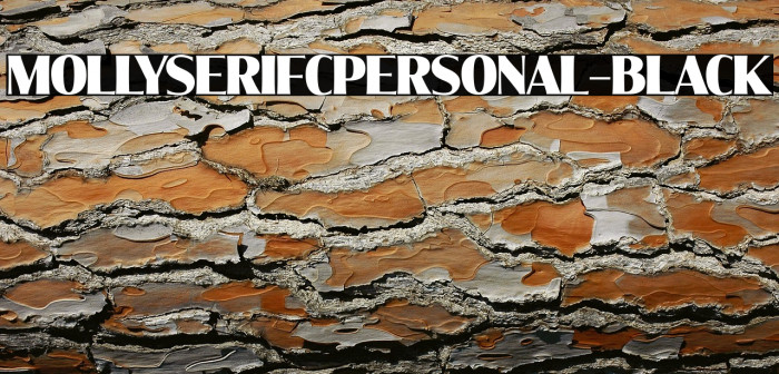 MollySerifCPERSONAL-Black Example 2