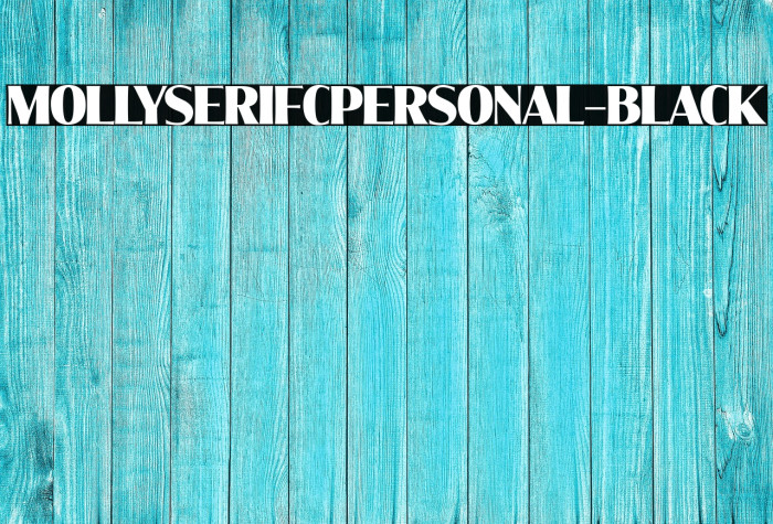 MollySerifCPERSONAL-Black Example 3
