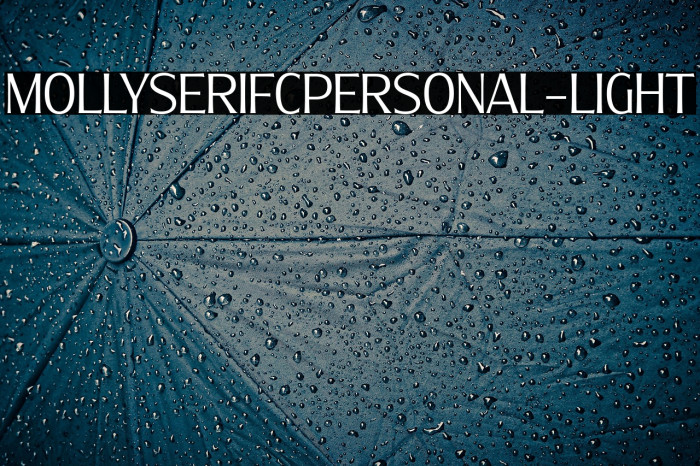 MollySerifCPERSONAL-Light Example 1