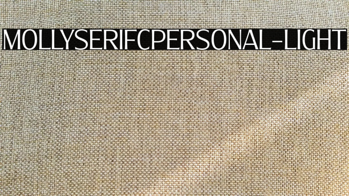 MollySerifCPERSONAL-Light Example 2